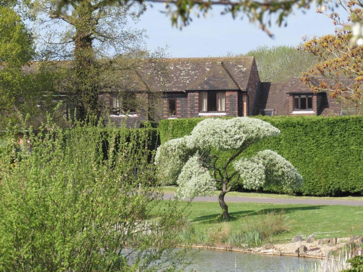 Northlands Farm - Old Farm Cottage Chichester Exterior foto